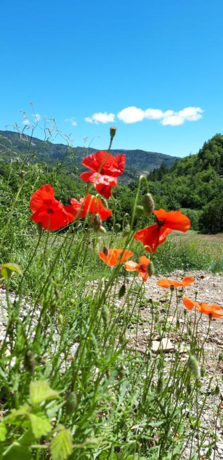 Gites Les Costoliers Châteauneuf-Miravail Εξωτερικό φωτογραφία